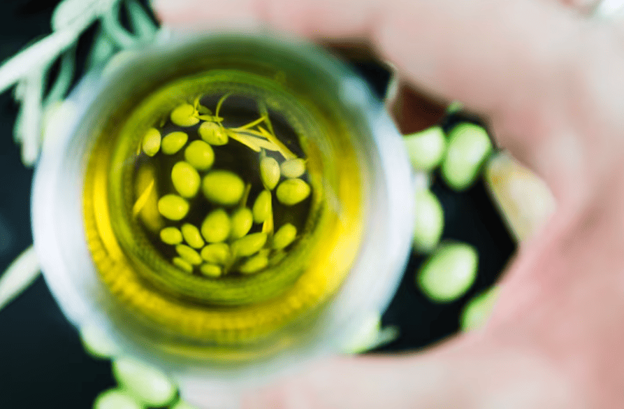 全球植物新藥市場崛起：台灣具備哪些競爭優勢？