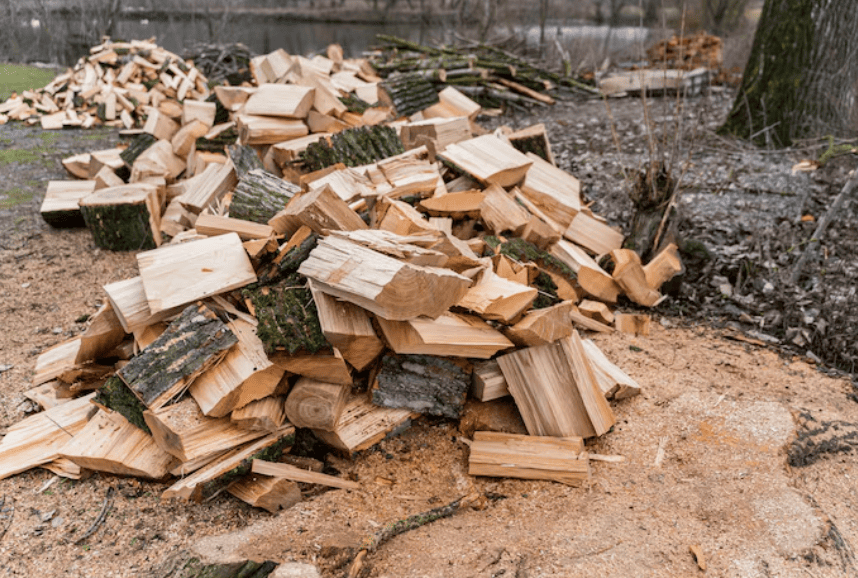 廢棄木頭處理不可輕忽？住家裝修後木材清運與合法流程解析